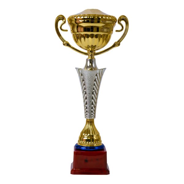 Plastic Trophy, Gold, Large, 40cm