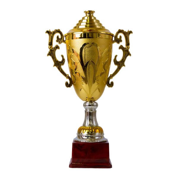 Plastic Trophy, Gold, Large, 44cm