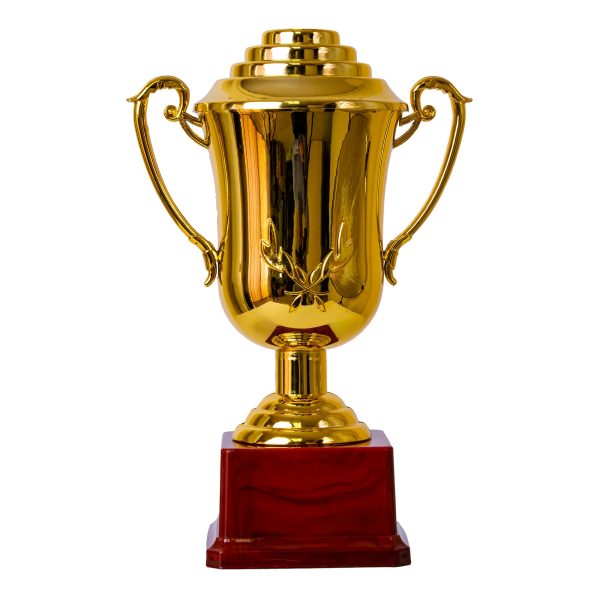 Plastic Trophy, Gold, Large, 25cm