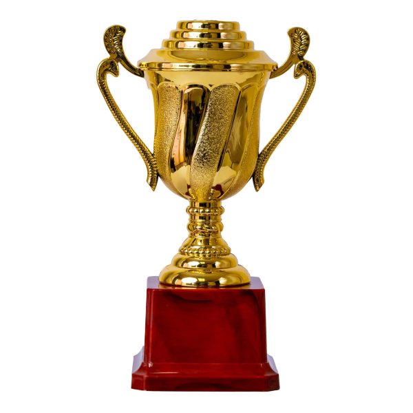Plastic Trophy, Gold, Medium, 20cm